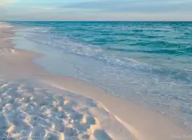 Clearwater, FL